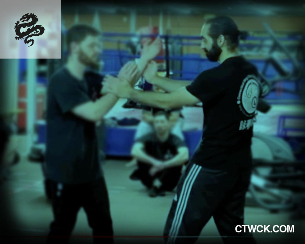 Wing Chun Lesson Highlights From Our Last Workshop.