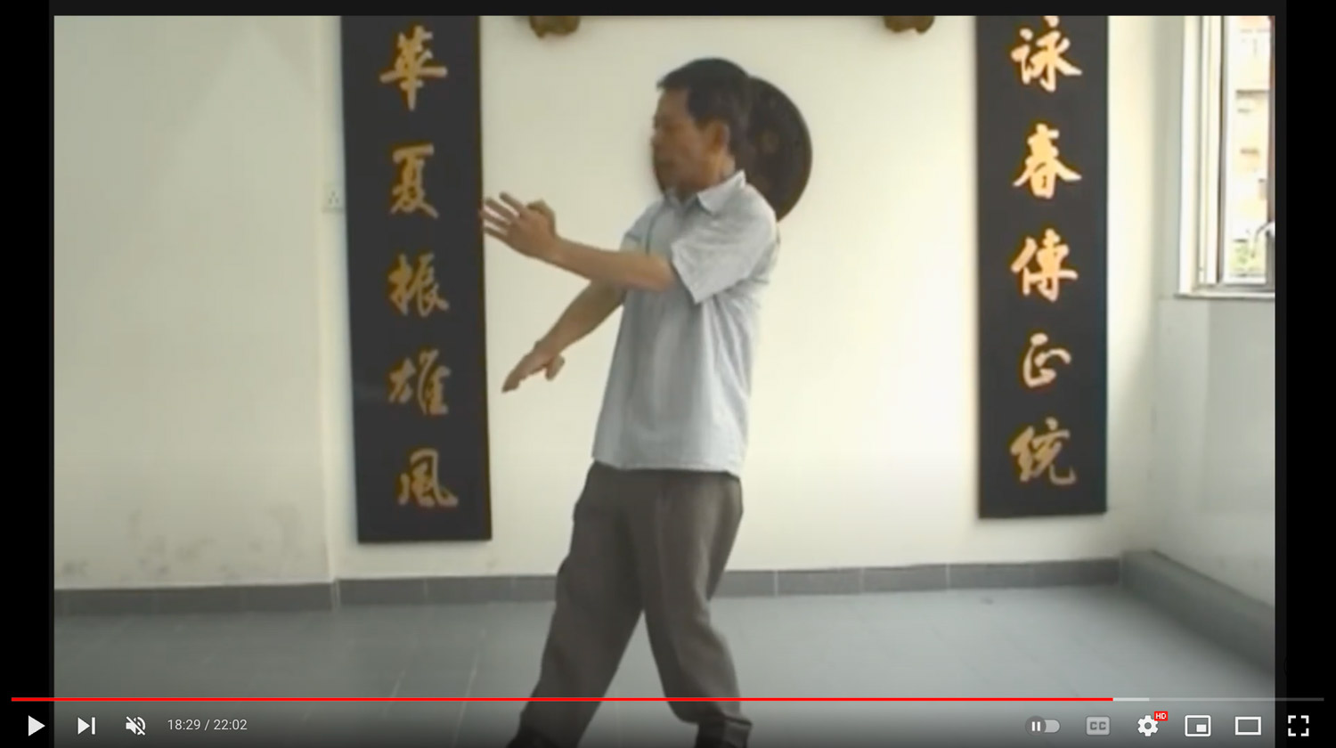 Ng Wah Sum Wing Chun from Hong Kong. A Look at Leung Sheung’s Wing Chun Kung Fu. Commentary
