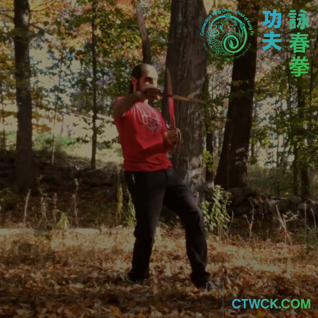 Wing Chun Sword Live Blade Demonstration – Solo Drills and Form Impressions